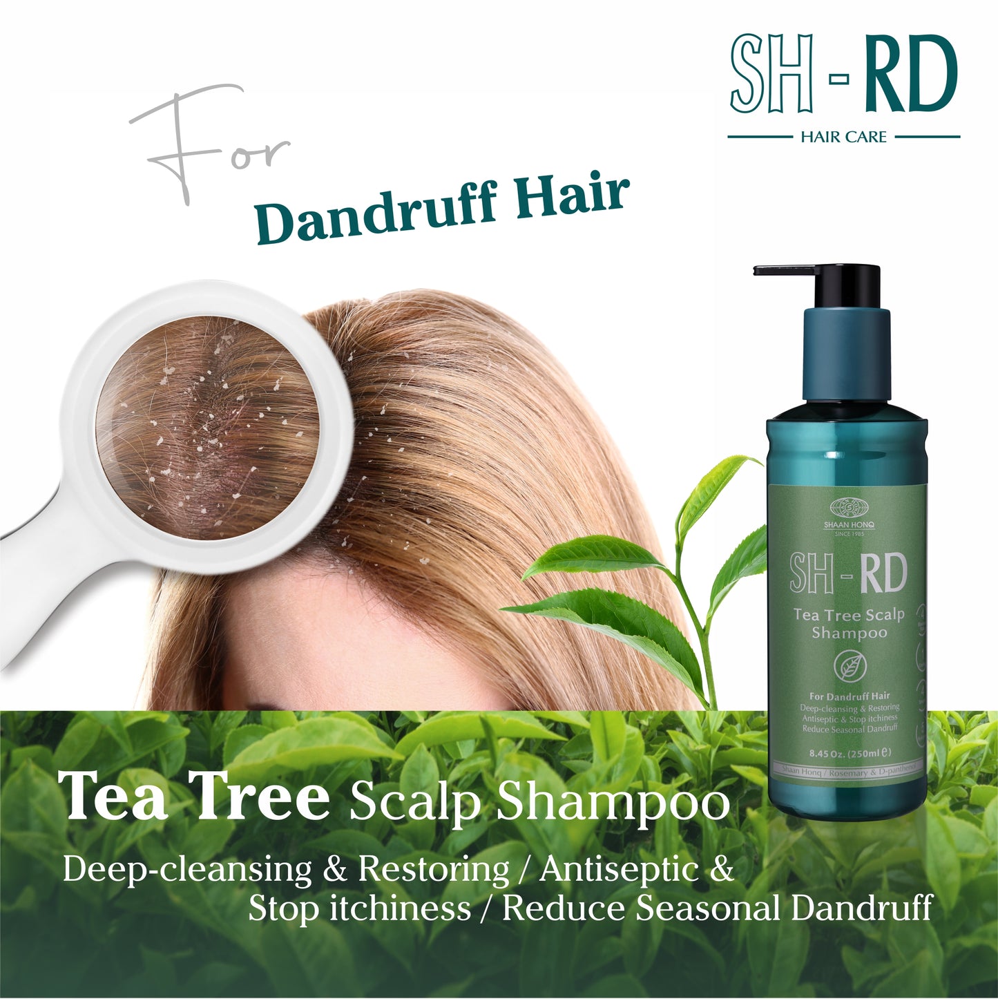 SH-RD Tea Tree Scalp Shampoo(3.38oz/100ml)